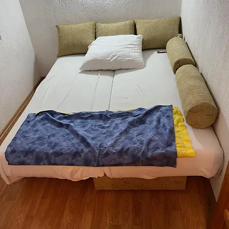 Hajredinovic *